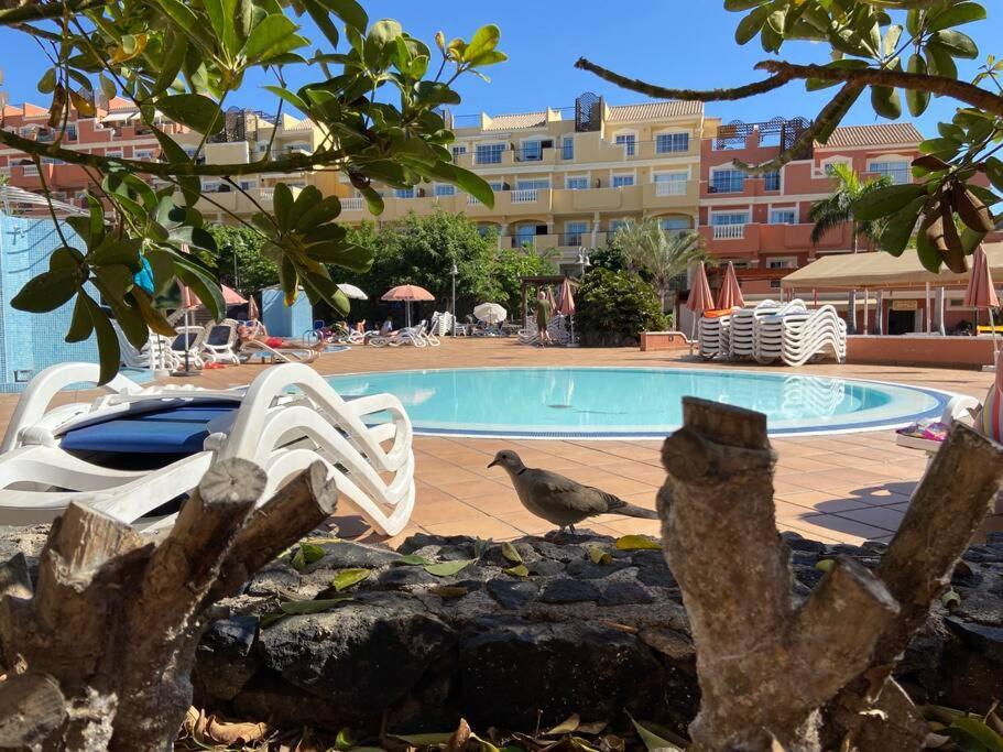Amazing Penthouse Lägenhet Los Cristianos  Exteriör bild
